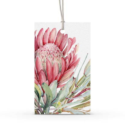 GIFT TAG SET [6] ~ King Protea