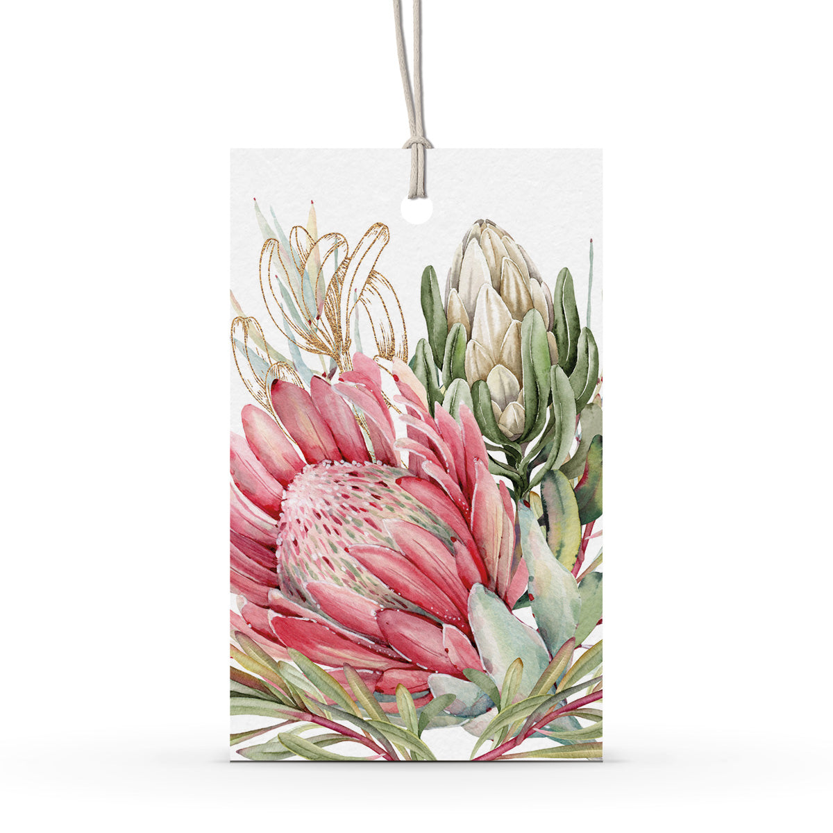 GIFT TAG SET [6] ~ King Protea