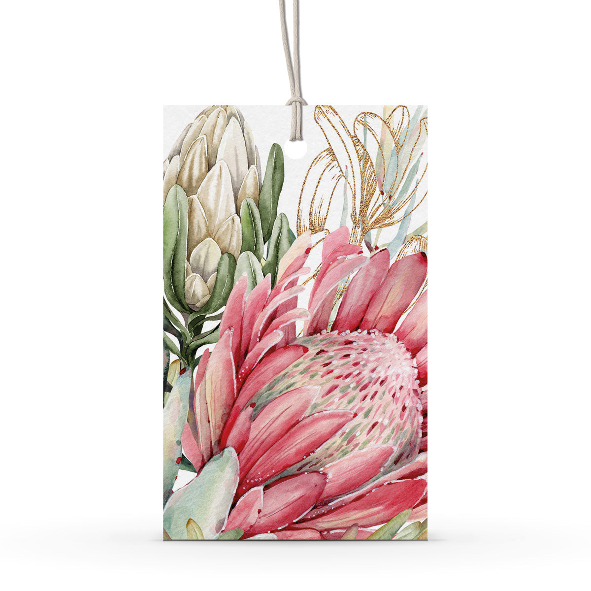 GIFT TAG SET [6] ~ King Protea