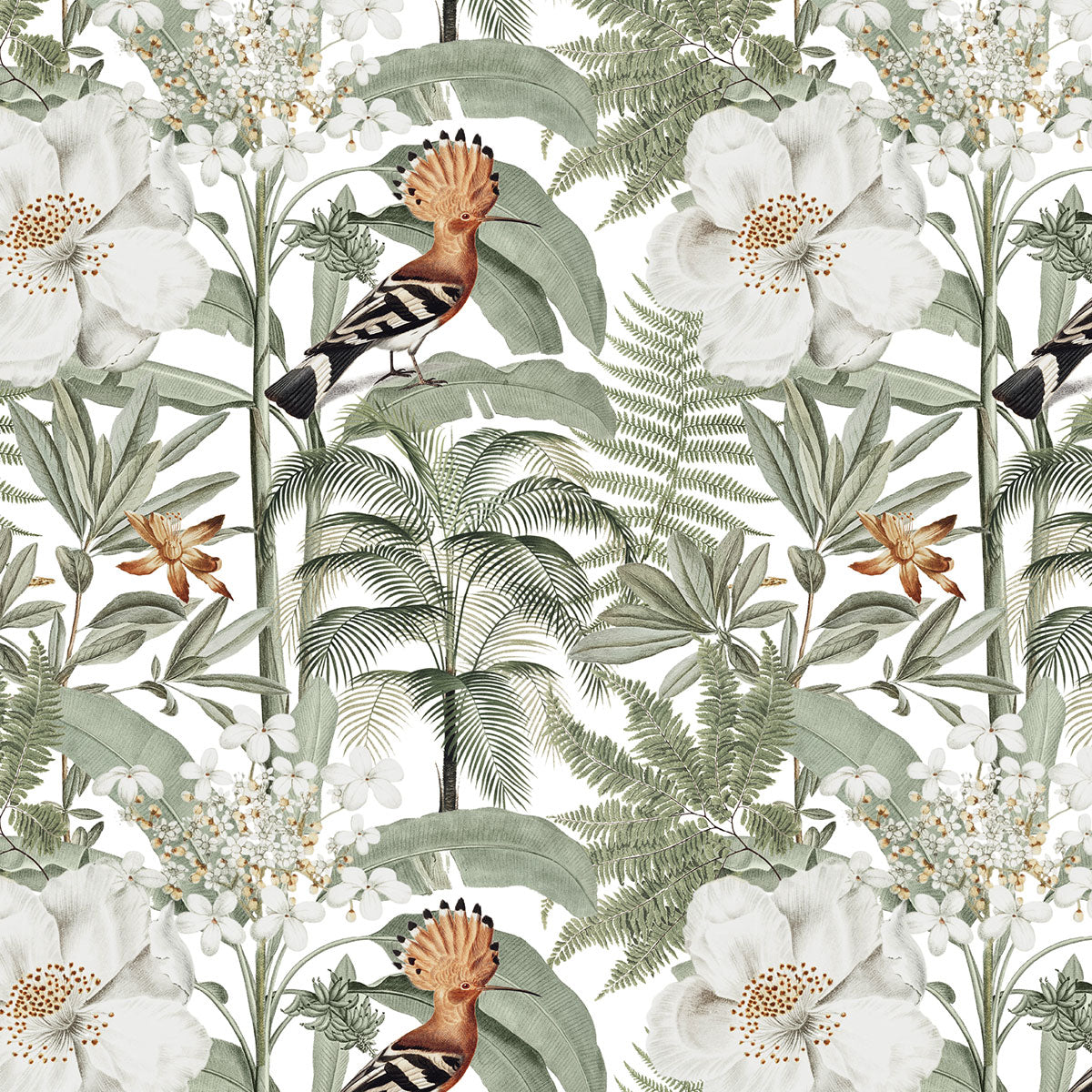 WRAPPING PAPER ~ Hoopoe White [5 sheets]