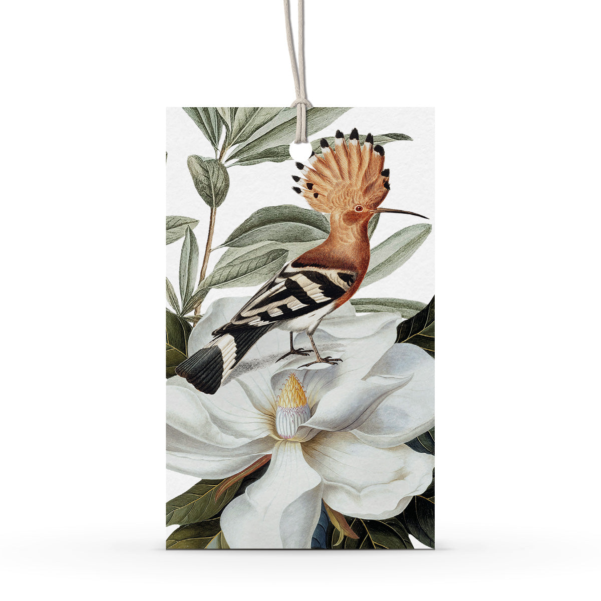 GIFT TAG SET [6] ~ Happy Little Hoopoe