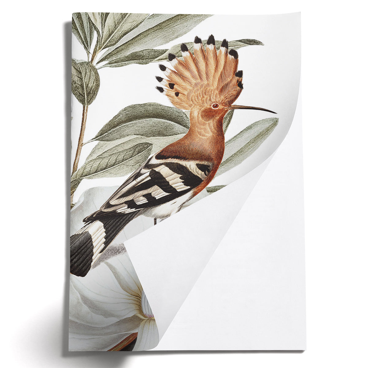 LOVELY LITTLE NOTEBOOKS [set of 2] ~ Hoopoe