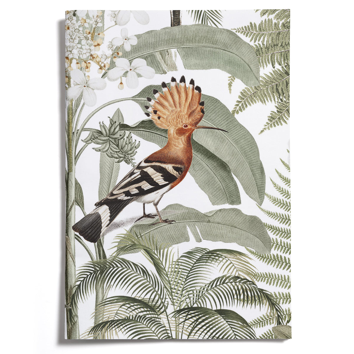 LOVELY LITTLE NOTEBOOKS [set of 2] ~ Hoopoe