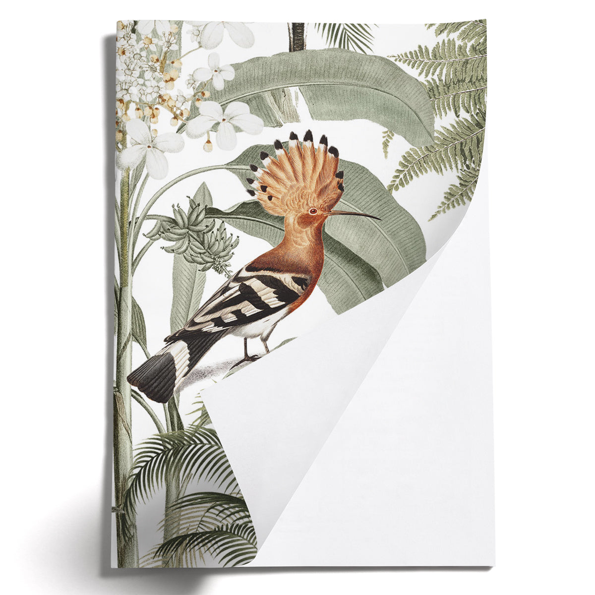 LOVELY LITTLE NOTEBOOKS [set of 2] ~ Hoopoe