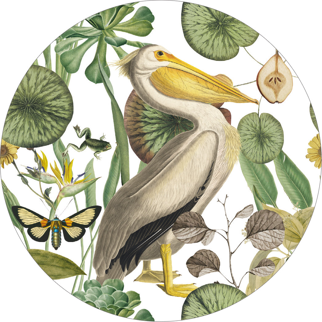 LICENSE DISC STICKER ~ Pelican & the Pear