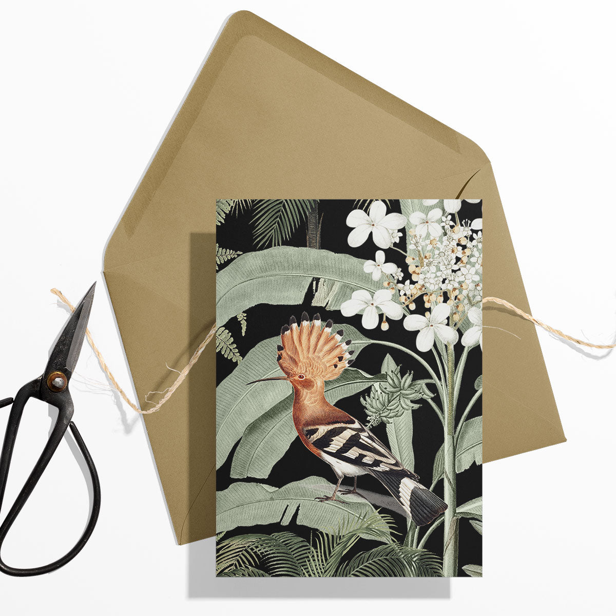 GIFT CARD SET [6] ~ Hoopoe