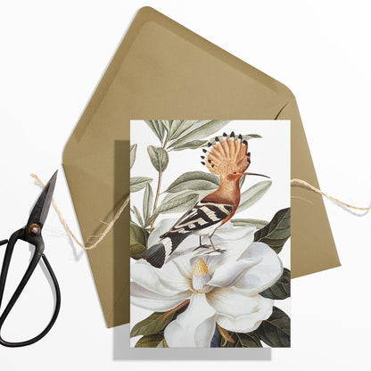 GIFT CARD SET [6] ~ Hoopoe