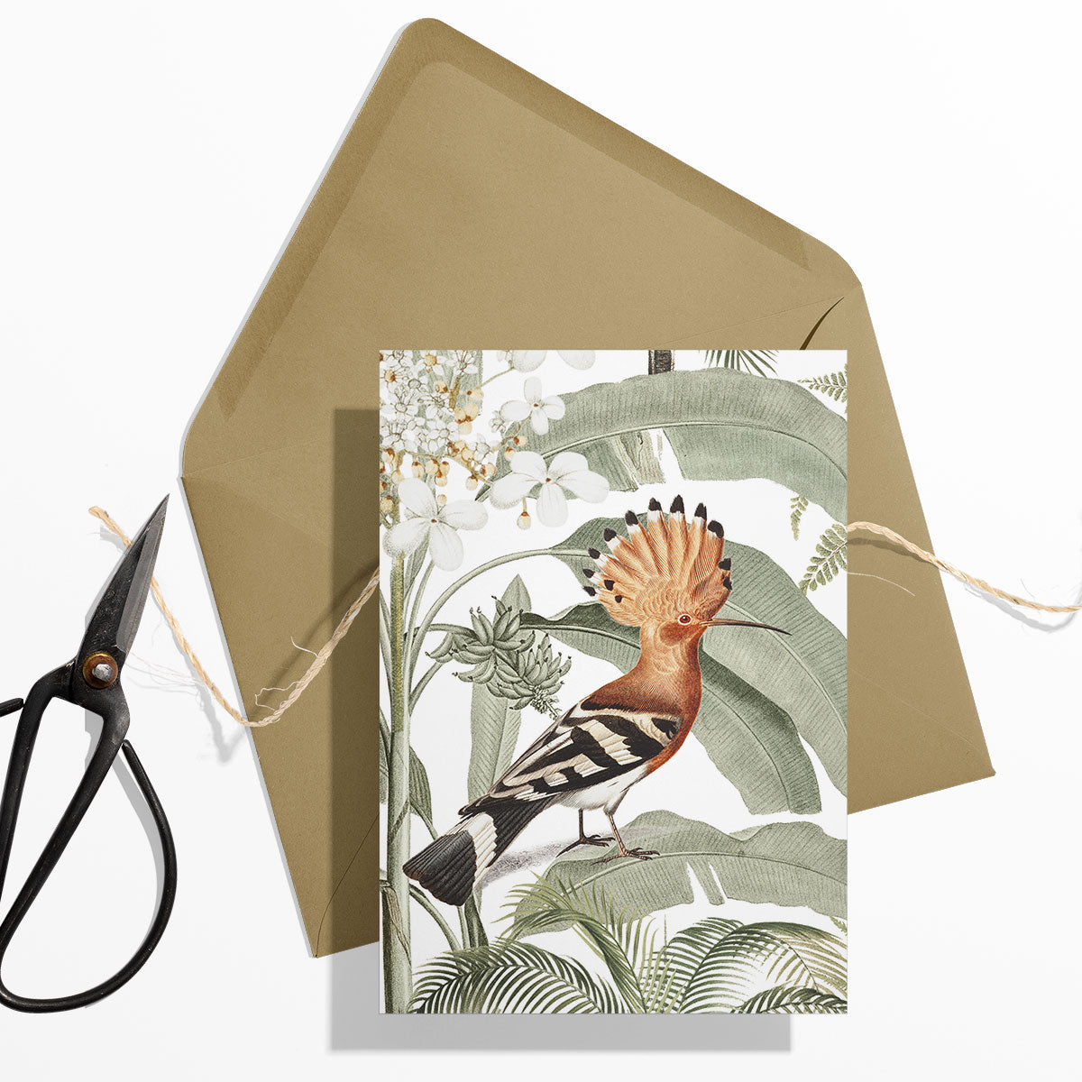 GIFT CARD SET [6] ~ Hoopoe