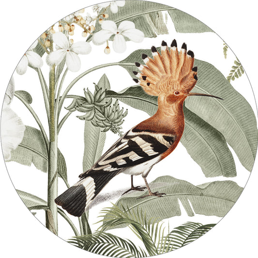 LICENSE DISC STICKER ~ Hoopoe