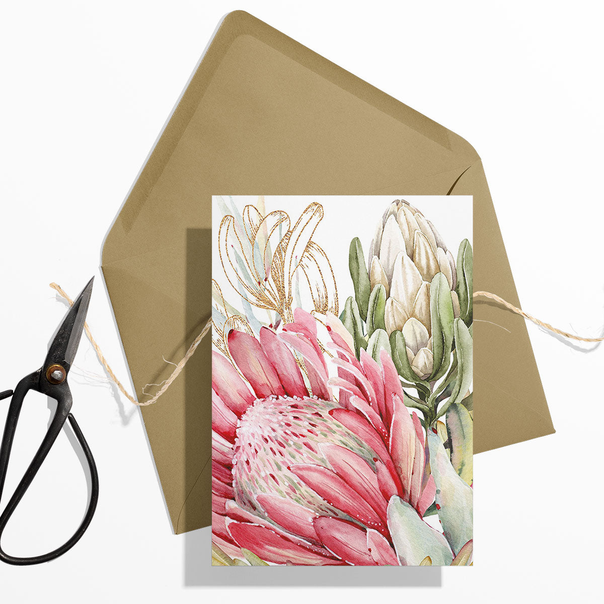 GIFT CARD SET [6] ~ King Protea