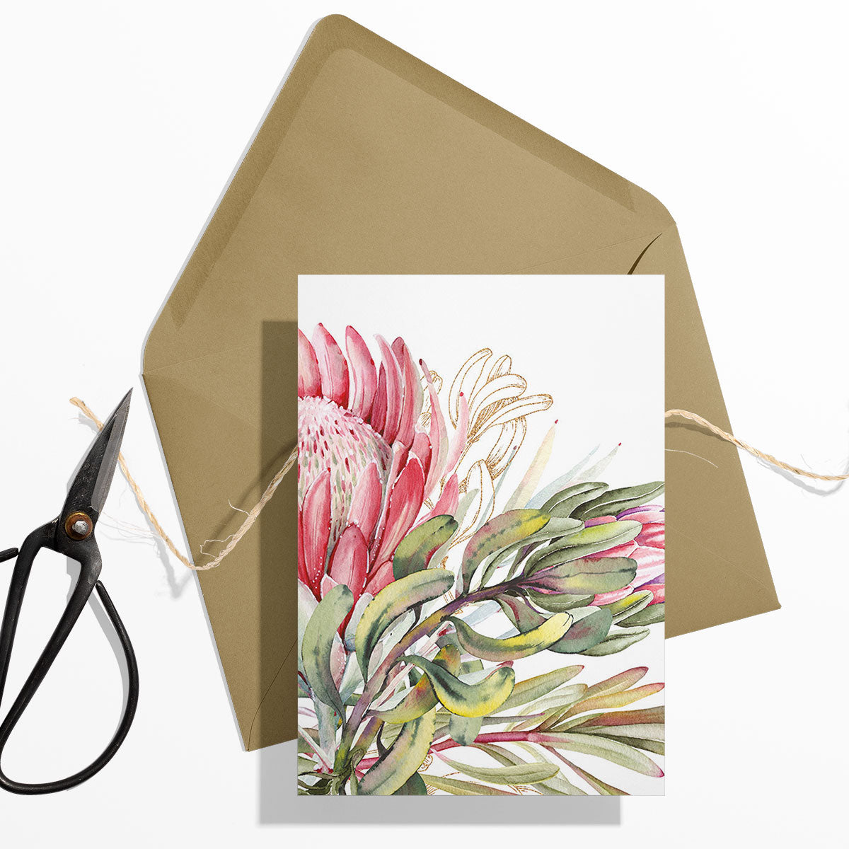 GIFT CARD SET [6] ~ King Protea