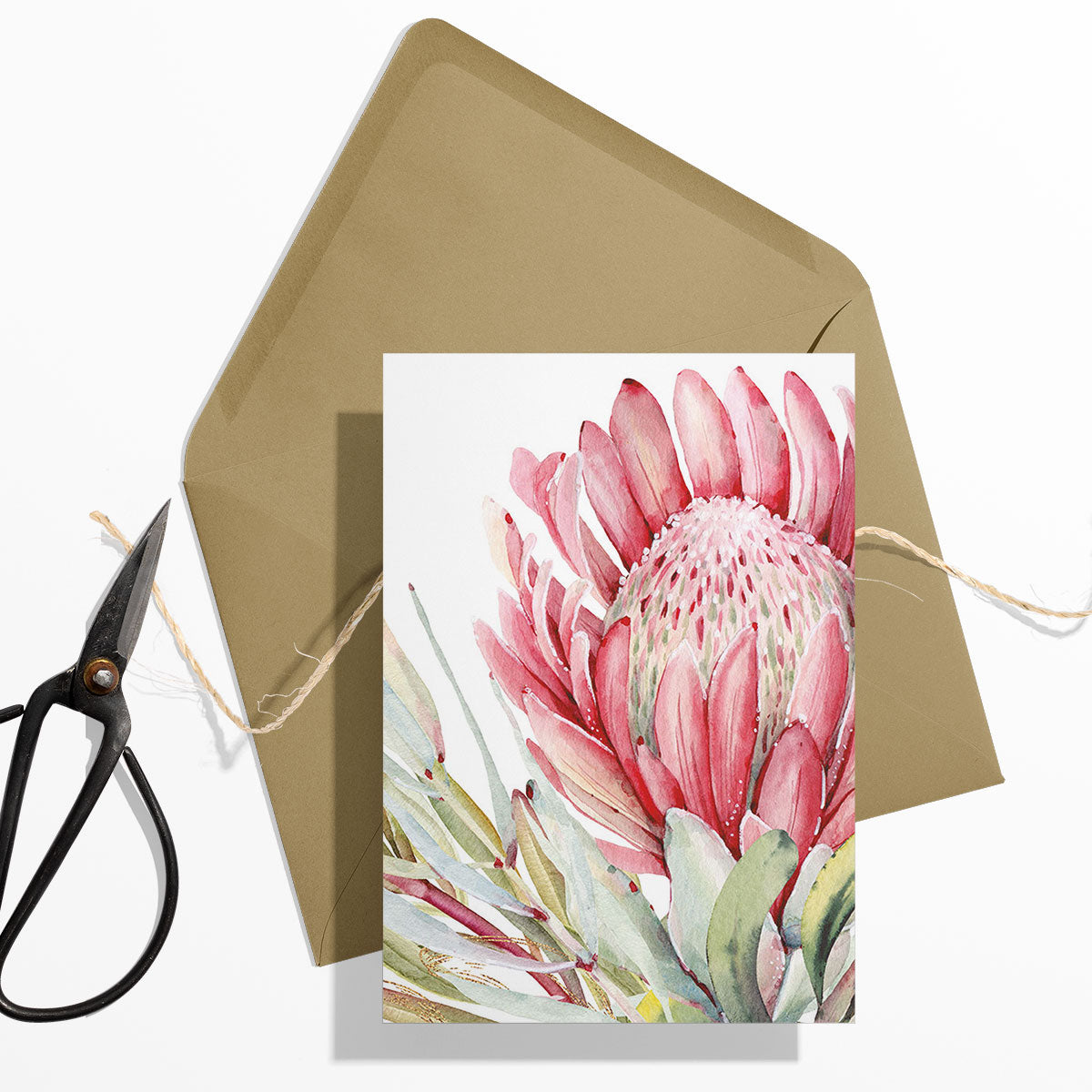 GIFT CARD SET [6] ~ King Protea