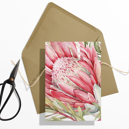 GIFT CARD SET [6] ~ King Protea