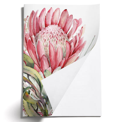 LOVELY LITTLE NOTEBOOKS [set of 2] ~ King Protea